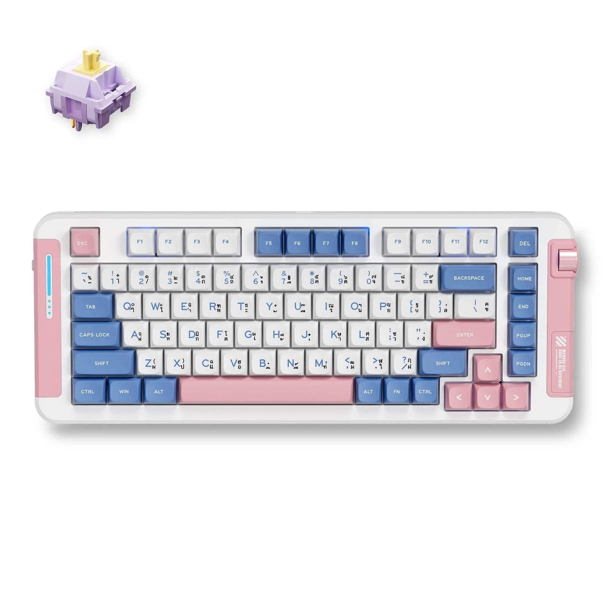 MCHOSE Official Keyboard Pink and Blue / Hyacinth Switch MCHOSE X75 Wireless Gasket Mount Mechanical Special Edition Thai Keyboard